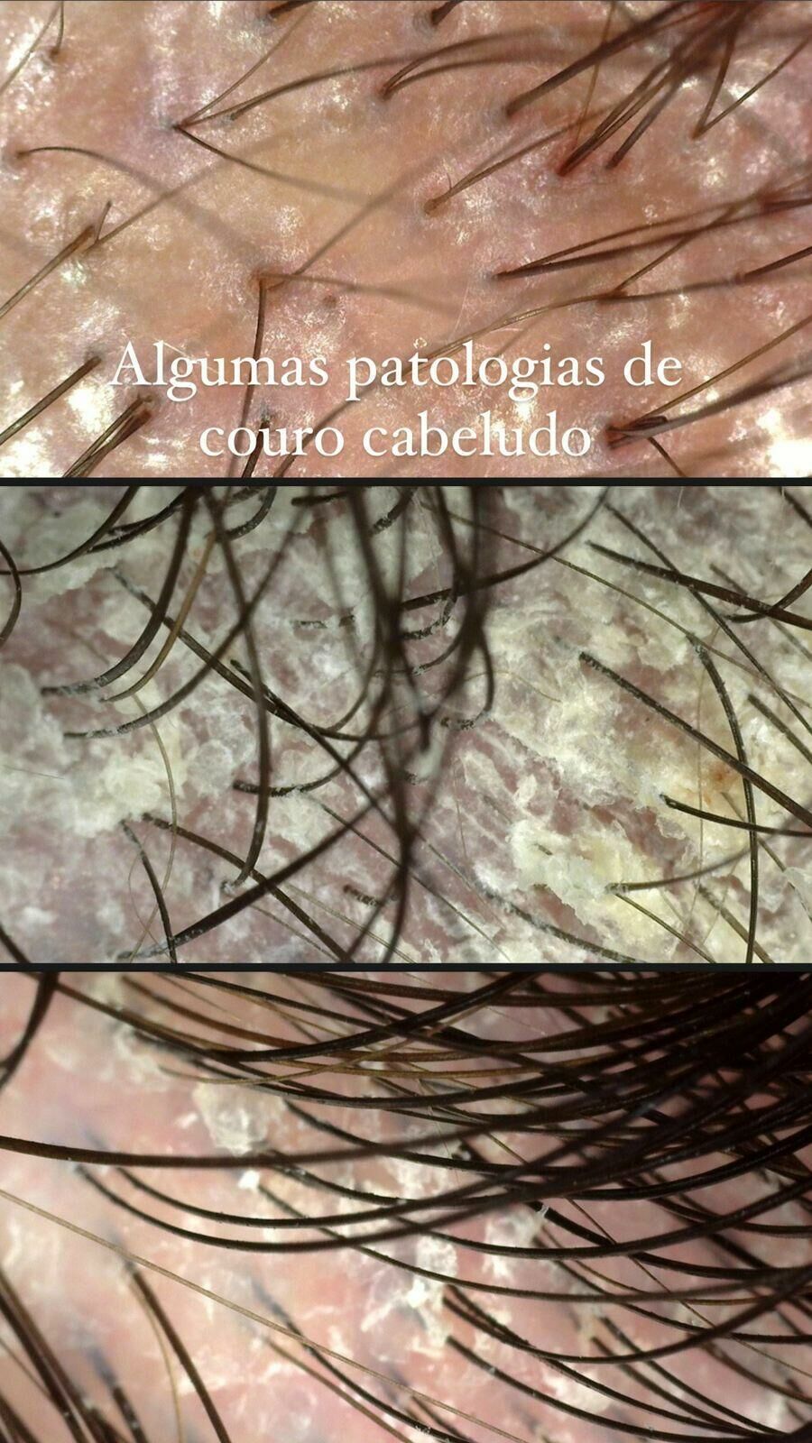 Imagem WhatsApp Image 2025-02-17 at 17.25.09